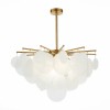 Светильник ST LUCE SL1231.302.06