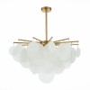 Светильник ST LUCE SL1231.302.06