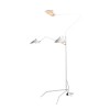 Светильник ST LUCE SL305.505.03