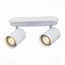 Потолочный светильник ST LUCE SL597.501.02