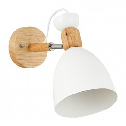 Светильник EVOLUCE SLE103801-01