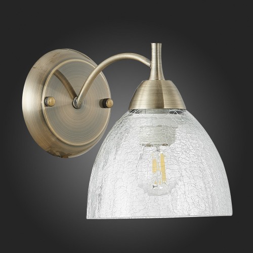 EVOLUCE SLE104401-01