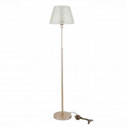 Светильник EVOLUCE SLE107505-01