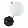 Светильник EVOLUCE SLE1098-401-01