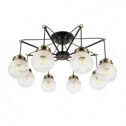 Светильник EVOLUCE SLE110302-08