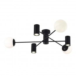 Светильник EVOLUCE SLE1105-402-06