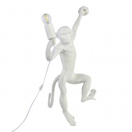 Светильник EVOLUCE SLE115111-01