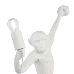 Светильник EVOLUCE SLE115111-01