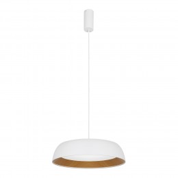 EVOLUCE SLE1812-503-01