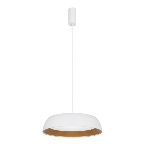 EVOLUCE SLE1812-503-01