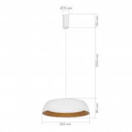 EVOLUCE SLE1812-503-01