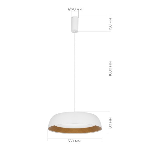 EVOLUCE SLE1812-503-01