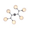 Светильник EVOLUCE SLE183702-06