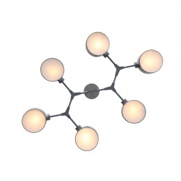 Светильник EVOLUCE SLE183702-06