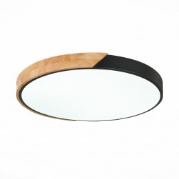 Светильник EVOLUCE SLE200942-01