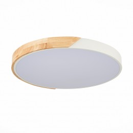 Светильник EVOLUCE SLE200952-01