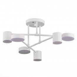 Светильник EVOLUCE SLE201052-06