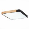 Светильник EVOLUCE SLE201242-01
