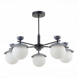 Светильник EVOLUCE SLE220202-05