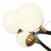 Светильник EVOLUCE SLE220403-10