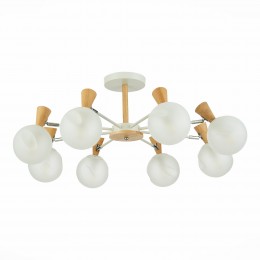 Светильник EVOLUCE SLE220702-08