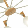 Светильник EVOLUCE SLE220702-08