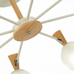 Светильник EVOLUCE SLE220702-08