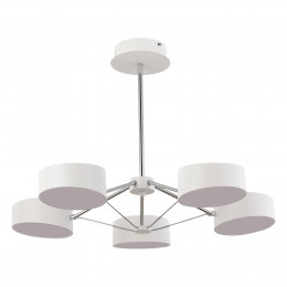 Светильник EVOLUCE SLE6005-502-05