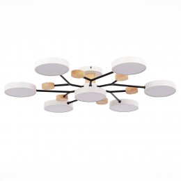 Светильник EVOLUCE SLE6006-502-07