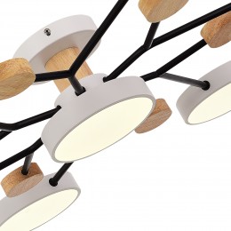 Светильник EVOLUCE SLE6006-502-07