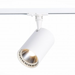 Трековый светильник ST LUCE ST351.546.30.36 