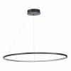 Светильник ST LUCE ST603.443.46