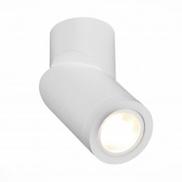 Потолочный светильник ST LUCE ST650.502.01