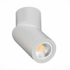 Потолочный светильник ST LUCE ST650.502.01