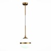 Светильник ST LUCE SL1157.303.01