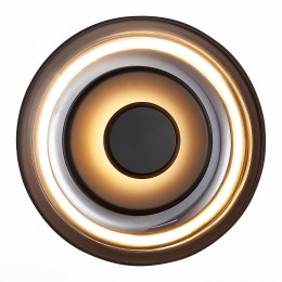 Светильник ST LUCE SL6002.401.01