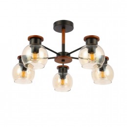 Светильник EVOLUCE SLE108102-05