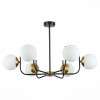 Светильник EVOLUCE SLE1098-402-06