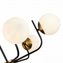 Светильник EVOLUCE SLE1098-402-06