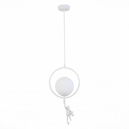 Светильник EVOLUCE SLE115113-01