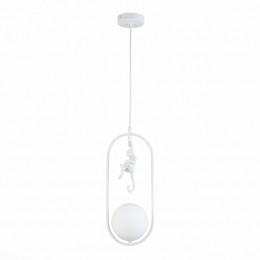 Светильник EVOLUCE SLE115123-01