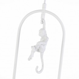 Светильник EVOLUCE SLE115123-01