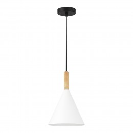 Светильник EVOLUCE SLE1255-413-01