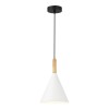 Светильник EVOLUCE SLE1255-413-01