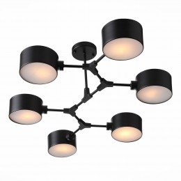 Светильник EVOLUCE SLE183402-06