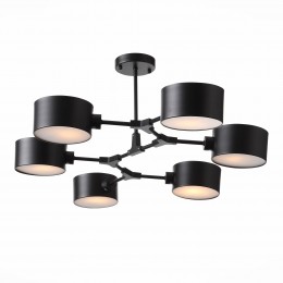 Светильник EVOLUCE SLE183402-06