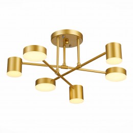 Светильник EVOLUCE SLE201022-06