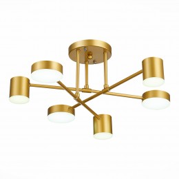 Светильник EVOLUCE SLE201022-06