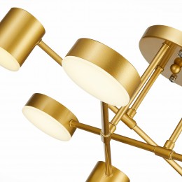 Светильник EVOLUCE SLE201022-06