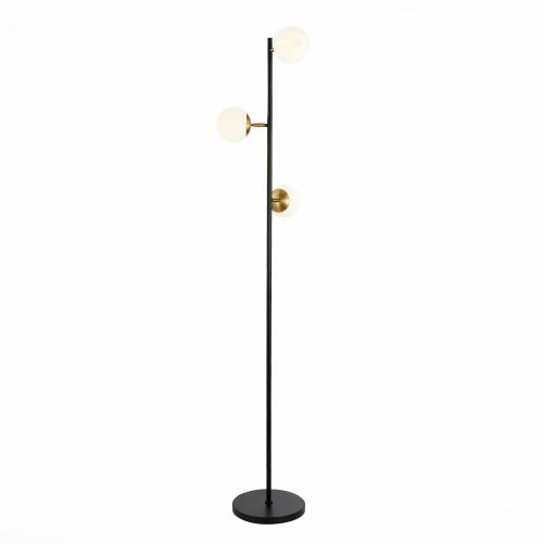 Светильник EVOLUCE SLE220405-03